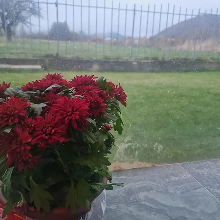 Apartment Nikol #2 *