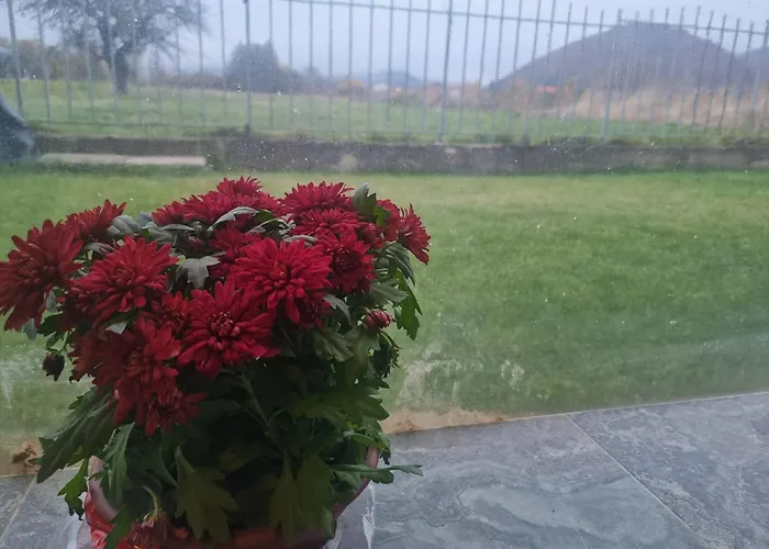 Lejlighed Nikol #2 *