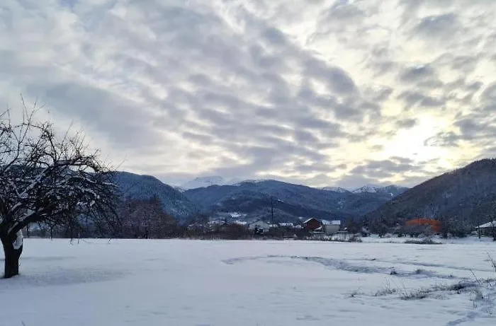 Lejlighed Nikol #2 *